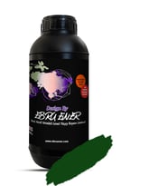 Ebru Ener Anka Vernikli Genel Yüzey Boyası 1 kg. (Orman Yeşili)