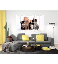KEDİ MDF TABLO-2558 MODEL-B