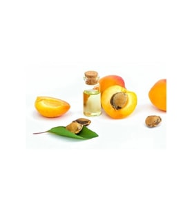 Kayısı Çekirdeği Yağı 20 ml Apricot Seed Oil