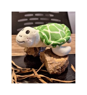 Caretta caretta Kaplumbağa Küçük (Çok Renkli)