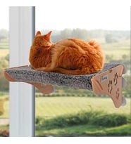 HOME Cama Yapışan Kedi Yatağı