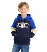 Monox Erkek Çocuk Feedom Baskılı 3 İplik Şardonlu Kapşonlu Sweatshirt (Saks)