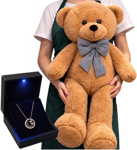Büyük Boy 80 cm Kahve Peluş Ayıcık ve 925 Ayar Gümüş Zirkon Taşlı Kelebek Yuvası Kadın Kolye Hediye Seti