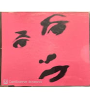 Deborah Anderson Lonely Without You Maxi Single CD (Karışık)