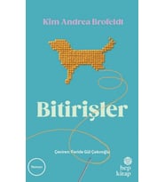 Bitirişler