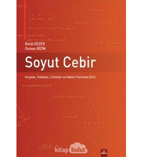 Soyut Cebir: Gruplar, Halkalar, Cisimler Ve Galois Teorisine Giriş (Krem)