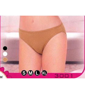 Ten Kadın Slip Külot Esnek Rahat Günlük İç Giyim S-XL 3001
