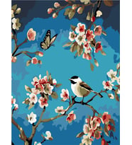 Kuslar 1 Sayılarla Boyama Seti 50x65 cm (Tuvale Gerili)