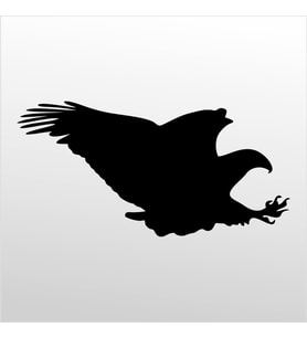 Folyo Sticker Kartal ADKPQUY627 60cm Uzunluk