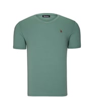 T8568 DEWBERRY V YAKA ERKEK T-SHIRT-DÜZ YEŞİL (Karışık)