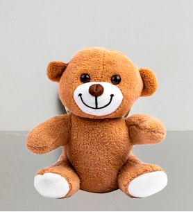 Peluş Ayıcık