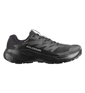 Salomon L49214400 Alphaglide Gtx W Kadın Koşu Ayakkabısı