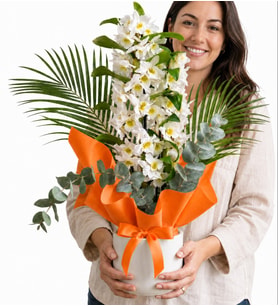 Tasarım Buket Kağıtlı Dendrobium