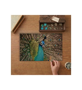 Tavuskuşu Yakın Çekim Tasarımı 240 parça Ahşap Puzzle Ahşap Kutuda MP09739