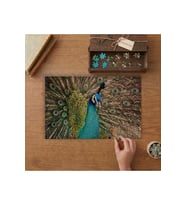 Tavuskuşu Yakın Çekim Tasarımı 240 parça Ahşap Puzzle Ahşap Kutuda MP09739