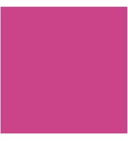 SMK Modernmatte Powder Lipstick 519 Ruj
