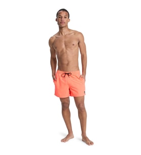 Quiksilver EVERYDAY SOLID VOLLEY 15 Pudra Erkek Şort EQYJV04120-MKZ0