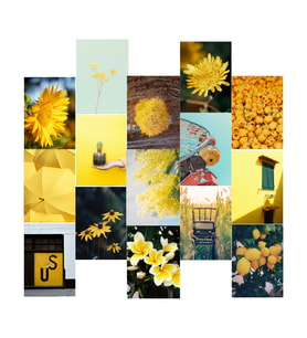 Orora Yellow Temalı Poster Duvar Kağıdı Seti-15li-230g-A5