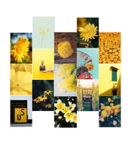 Orora Yellow Temalı Poster Duvar Kağıdı Seti-15li-230g-A5