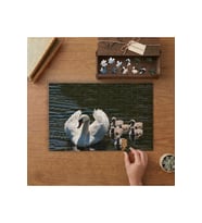 Anne Kuğu ve Yavruları Tasarımı 240 parça Ahşap Puzzle Ahşap Kutuda MP09149