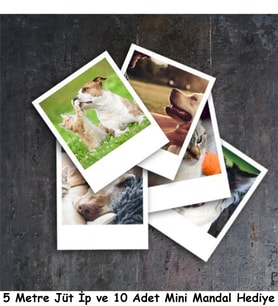 Polaroid Fotoğraf Baskı 48 Adet 7x8, Hediyeli, Full HD Kişiye Özel Fotokart