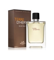 HERMES TERRE D HERMES EDT 100ML HOMME