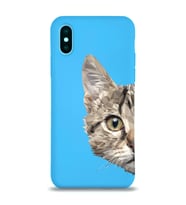 Apple iPhone X Uyumlu Lansman Kılıf Catface Tasarımlı Altı Kapalı İçi Kadife Kaplı Silikon Kapak (Şeffaf)