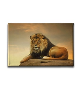 Aslan Kanvas Tablo HYY147