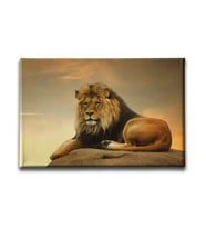 Aslan Kanvas Tablo HYY147