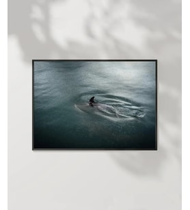 Suyun İçinde Poster