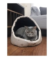 Yumuşak Nano Kedi Yatağı, Sıcak ve Ferah Tutar, Konfor Sunar