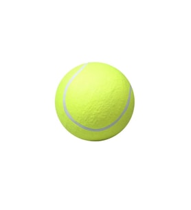 Maxi Life Tenis Topu Köpek Oyuncağı 1 ADET