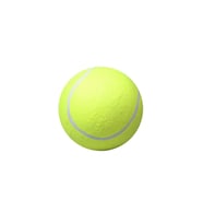 Maxi Life Tenis Topu Köpek Oyuncağı 1 ADET