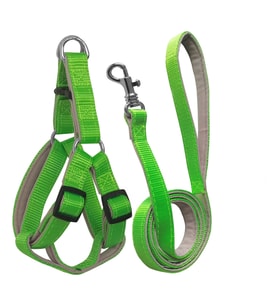 Gezdirme Kayışlı Dokuma Köpek Göğüs Tasma Seti 32*47-110 cm Neon Yeşil