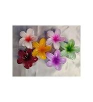 6'LI RENGARENK LOTUS ÇİÇEĞİ MANDAL TOKA 8 cm (Renksiz)
