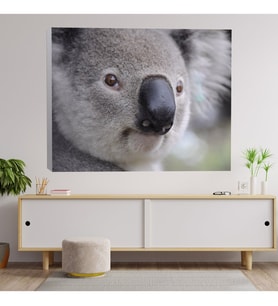 Yakın Çekim Koala Temalı Dekoratif Kanvas Tablo