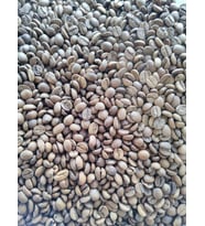 TAZE TÜRK KAHVESİ 500 GR
