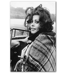 Cakatablo Sophia Loren, Güney Galler'de Ağustos 1965'te MDF Tablo