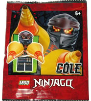 LEGO Ninjago 892071 Cole