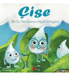 Çise: Bir Su Damlasının Hayat Döngüsü
