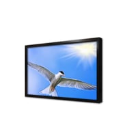 Kuş Resimleri Çerçeveli Mdf Tablo