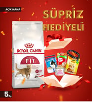 Royal Canin Fit 32 Yetişkin Kedi Maması 5 kg Açık Mama (HEDİYELİ ÜRÜN) skt:03/2027