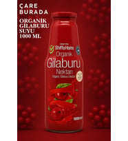 Organik Gilaburu Nektarı 1000 Ml