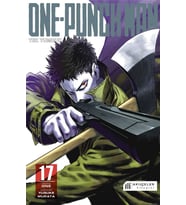 One Punch Man 17
