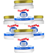 Snow Kitten 50 ml Teskin Balsam 4 Adet