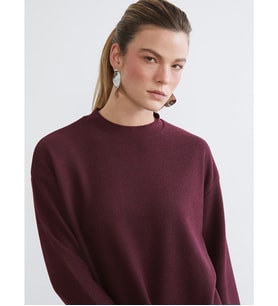 LCW EVERYDAY Mürdüm Bisiklet Yaka Oversize Kadın Tişört