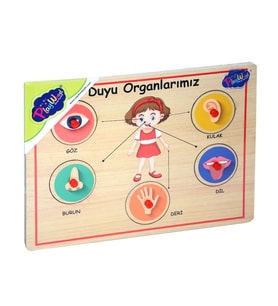 166/167 Onyıl, Ahşap Tutmalı Organlar