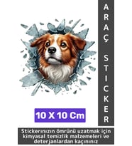 Özel Tasarım Araç Dış Modifiye Eğlenceli Yaratıcı Şık 3D Evcil Hayvan Kedi Köpek Sticker 10 X 10 Cm