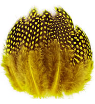 100 PCS DECOR YELLOW BIRD FEATHER 100 ADET PUANTİYELİ SARI SİYAH KUŞ TÜYÜ DEKOR SARI KUŞ TÜYÜ