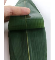 Guri Bambu Yapraği 100 Yaprak En: 7-8 cm Boy: 30 cm